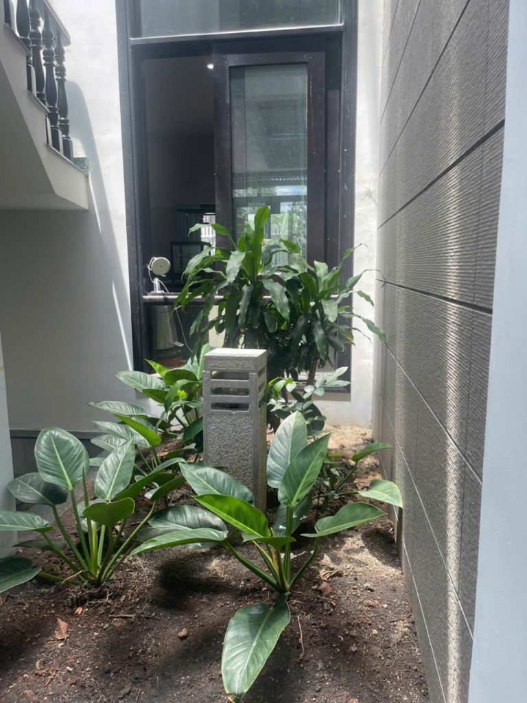 17576841709685221394